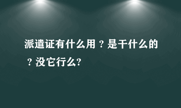 派遣证有什么用 ? 是干什么的 ? 没它行么?