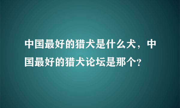 中国最好的猎犬是什么犬，中国最好的猎犬论坛是那个？