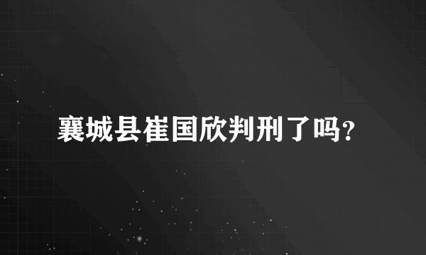 襄城县崔国欣判刑了吗？