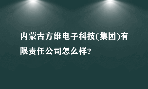 内蒙古方维电子科技(集团)有限责任公司怎么样？