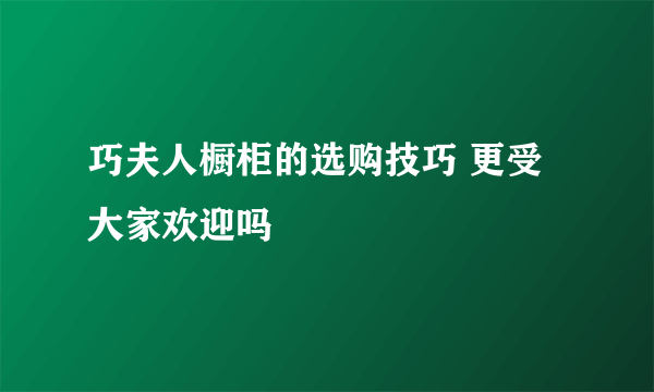 巧夫人橱柜的选购技巧 更受大家欢迎吗