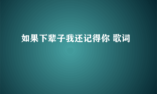 如果下辈子我还记得你 歌词