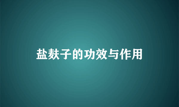 盐麸子的功效与作用