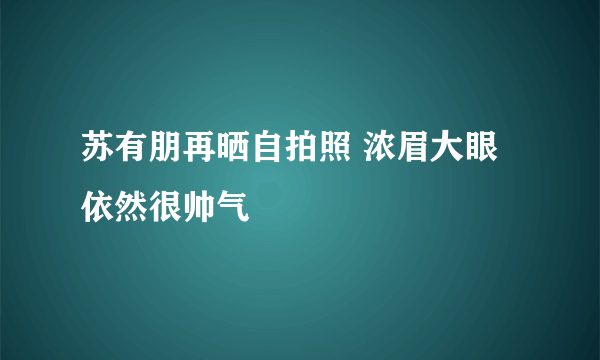 苏有朋再晒自拍照 浓眉大眼依然很帅气