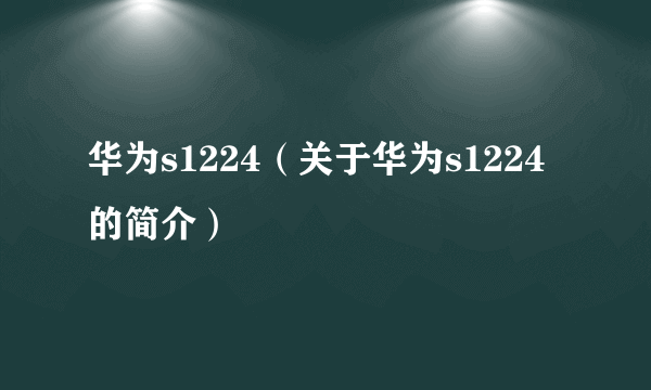 华为s1224（关于华为s1224的简介）