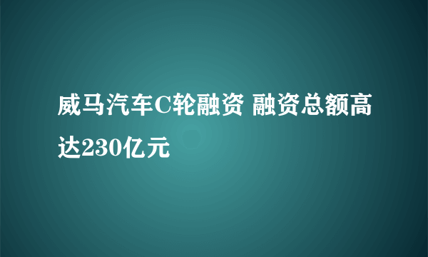 威马汽车C轮融资 融资总额高达230亿元