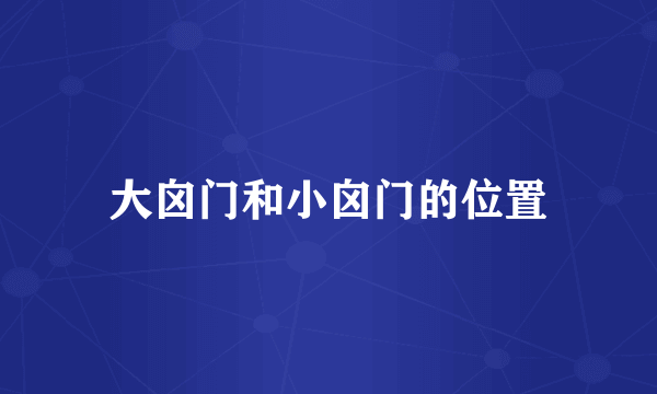 大囟门和小囟门的位置