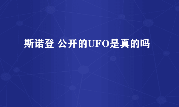 斯诺登 公开的UFO是真的吗