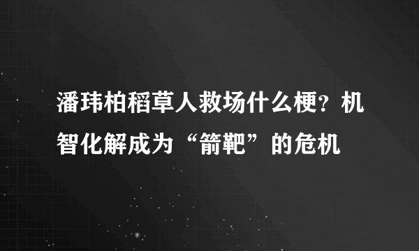 潘玮柏稻草人救场什么梗？机智化解成为“箭靶”的危机