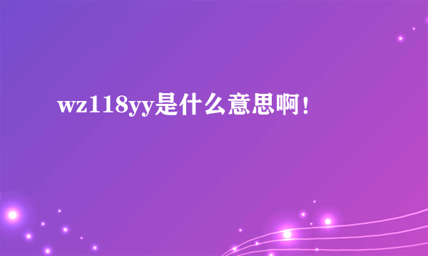 wz118yy是什么意思啊！