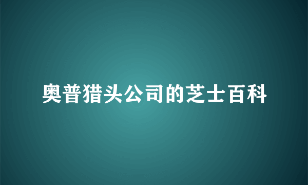 奥普猎头公司的芝士百科