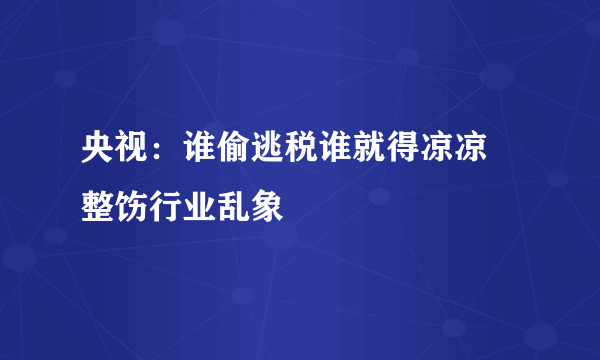 央视：谁偷逃税谁就得凉凉 整饬行业乱象