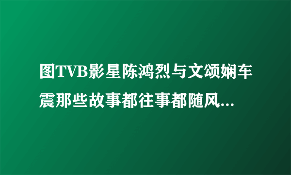 图TVB影星陈鸿烈与文颂娴车震那些故事都往事都随风-飞外网