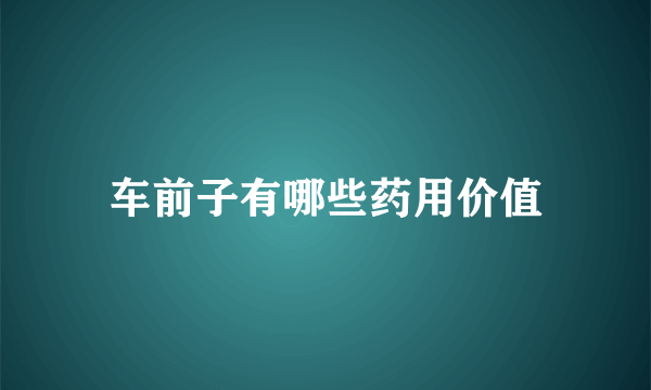 车前子有哪些药用价值