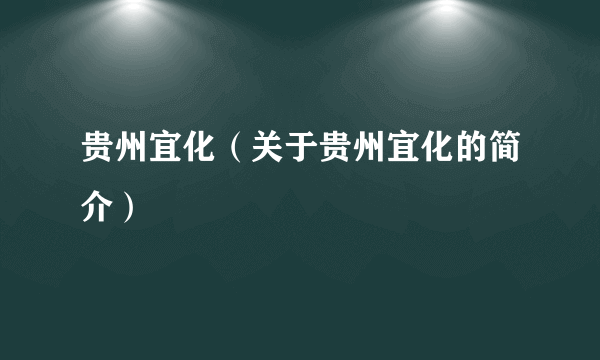 贵州宜化（关于贵州宜化的简介）