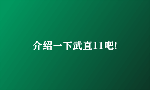 介绍一下武直11吧!