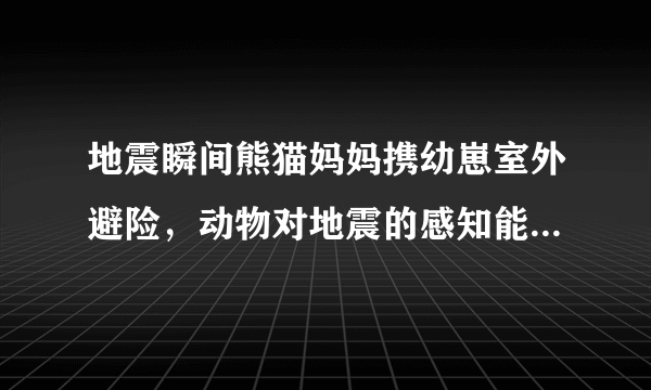 地震瞬间熊猫妈妈携幼崽室外避险，动物对地震的感知能力有多强？