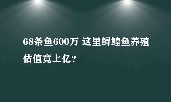 68条鱼600万 这里鲟鳇鱼养殖估值竟上亿？