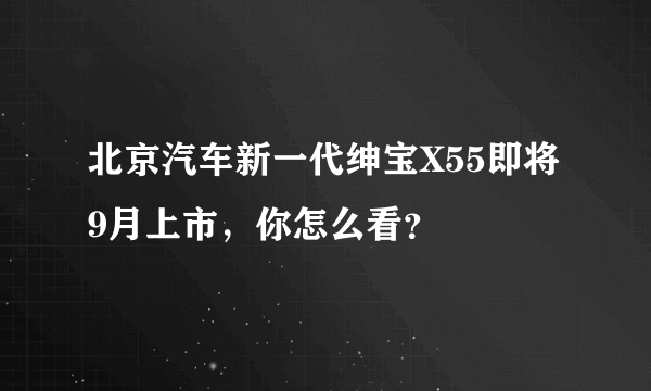 北京汽车新一代绅宝X55即将9月上市，你怎么看？