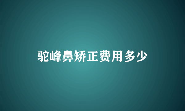 驼峰鼻矫正费用多少