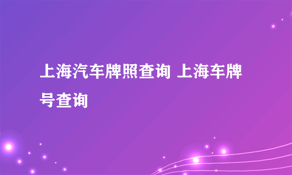 上海汽车牌照查询 上海车牌号查询