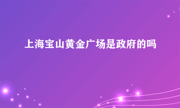 上海宝山黄金广场是政府的吗