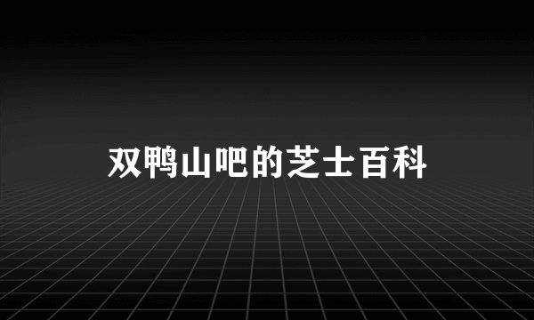 双鸭山吧的芝士百科