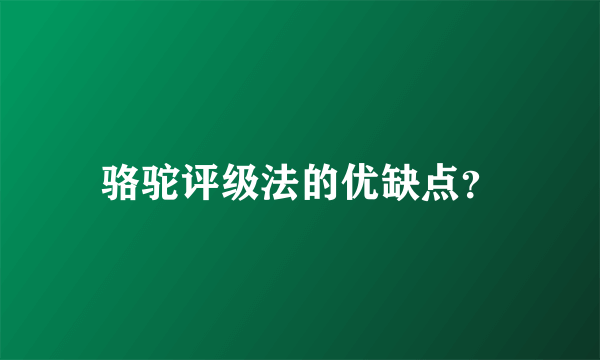 骆驼评级法的优缺点？