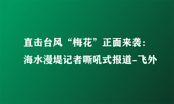 直击台风“梅花”正面来袭：海水漫堤记者嘶吼式报道-飞外