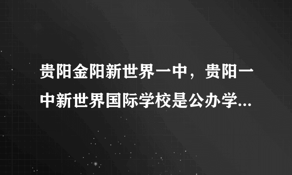 贵阳金阳新世界一中，贵阳一中新世界国际学校是公办学校吗 教师待遇如何