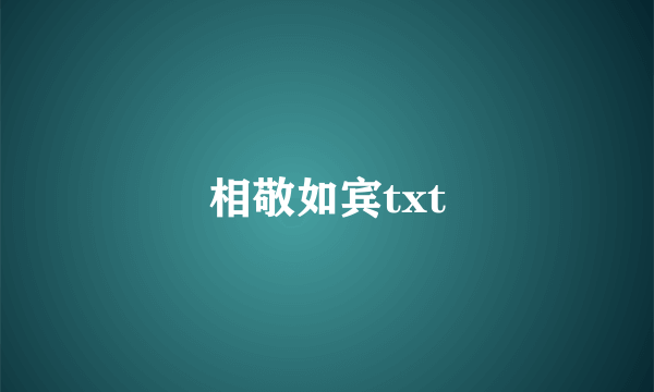 相敬如宾txt