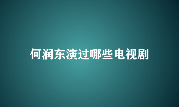 何润东演过哪些电视剧