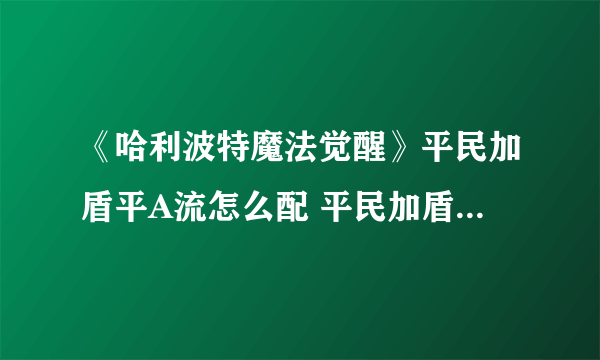 《哈利波特魔法觉醒》平民加盾平A流怎么配 平民加盾平A流介绍