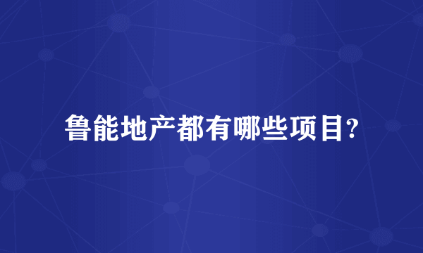 鲁能地产都有哪些项目?