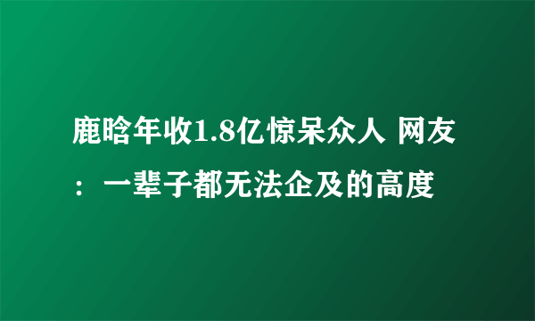 鹿晗年收1.8亿惊呆众人 网友：一辈子都无法企及的高度