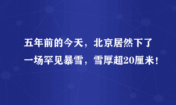 五年前的今天，北京居然下了一场罕见暴雪，雪厚超20厘米！