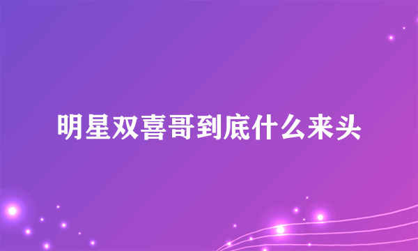 明星双喜哥到底什么来头