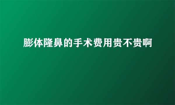 膨体隆鼻的手术费用贵不贵啊