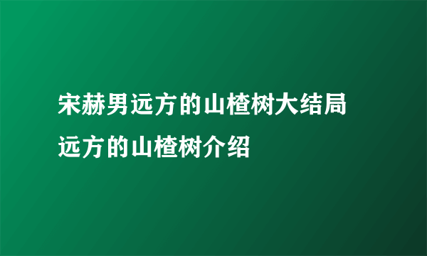 宋赫男远方的山楂树大结局 远方的山楂树介绍