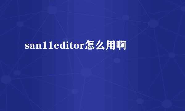 san11editor怎么用啊