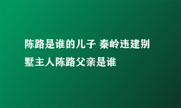 陈路是谁的儿子 秦岭违建别墅主人陈路父亲是谁