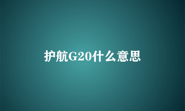 护航G20什么意思