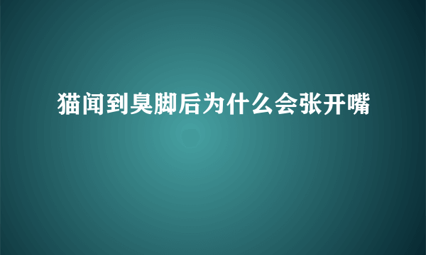 猫闻到臭脚后为什么会张开嘴