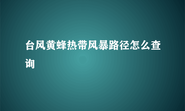 台风黄蜂热带风暴路径怎么查询