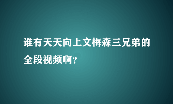 谁有天天向上文梅森三兄弟的全段视频啊？