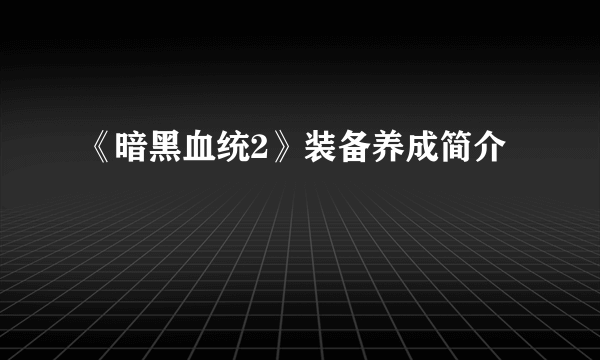 《暗黑血统2》装备养成简介