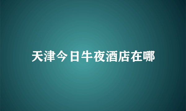 天津今日牛夜酒店在哪