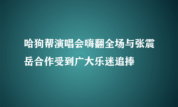 哈狗帮演唱会嗨翻全场与张震岳合作受到广大乐迷追捧