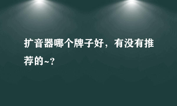 扩音器哪个牌子好，有没有推荐的~？