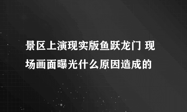 景区上演现实版鱼跃龙门 现场画面曝光什么原因造成的